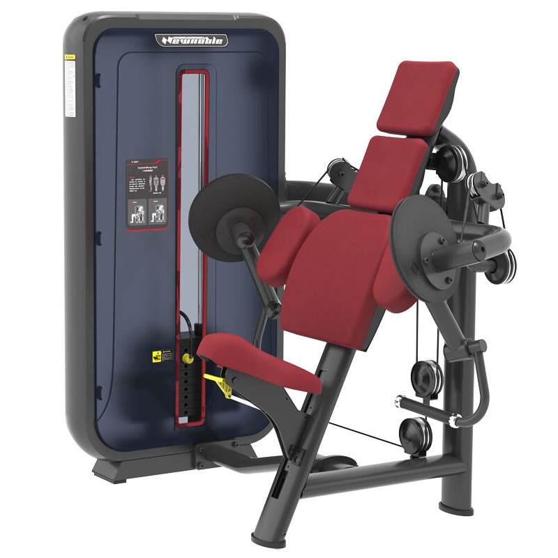 新贵族坐式二头肌训练器 XG-Z-6028