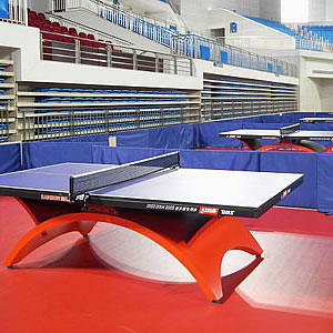 其它PVC乒乓球场地 Table tennis