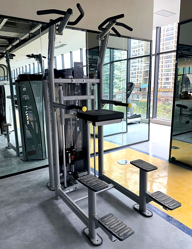 史帝飞乾战M系列 HCD2100 辅助式单双杠训练器