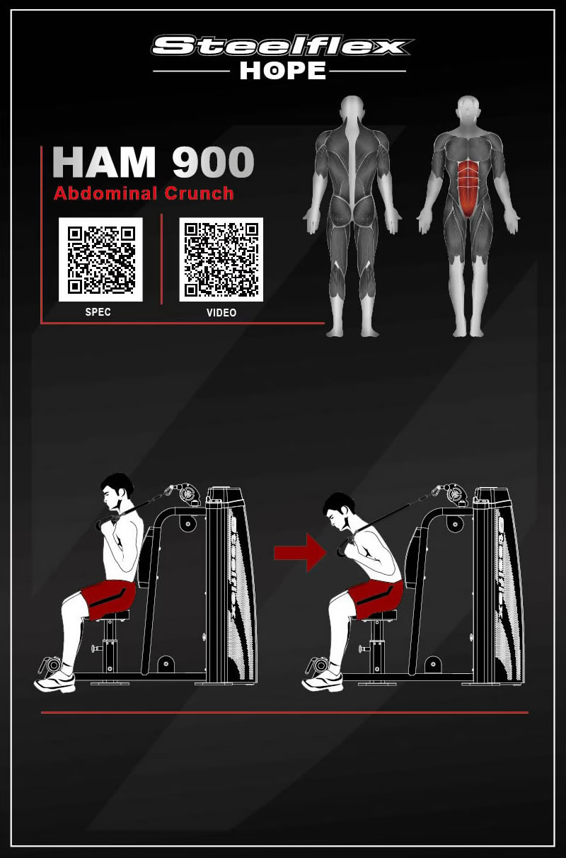 Steelflex HAM900 坐姿腹部前屈训练器/卷腹机