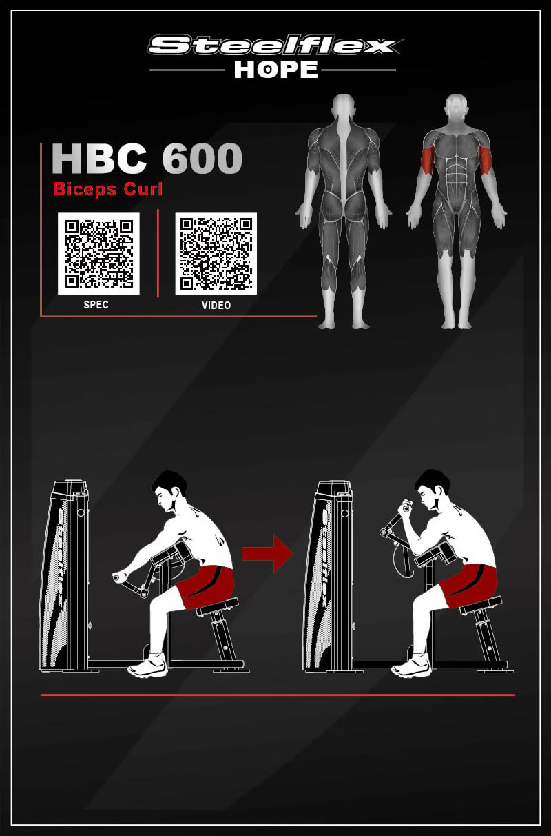 Steelflex HBC600 二头肌训练器