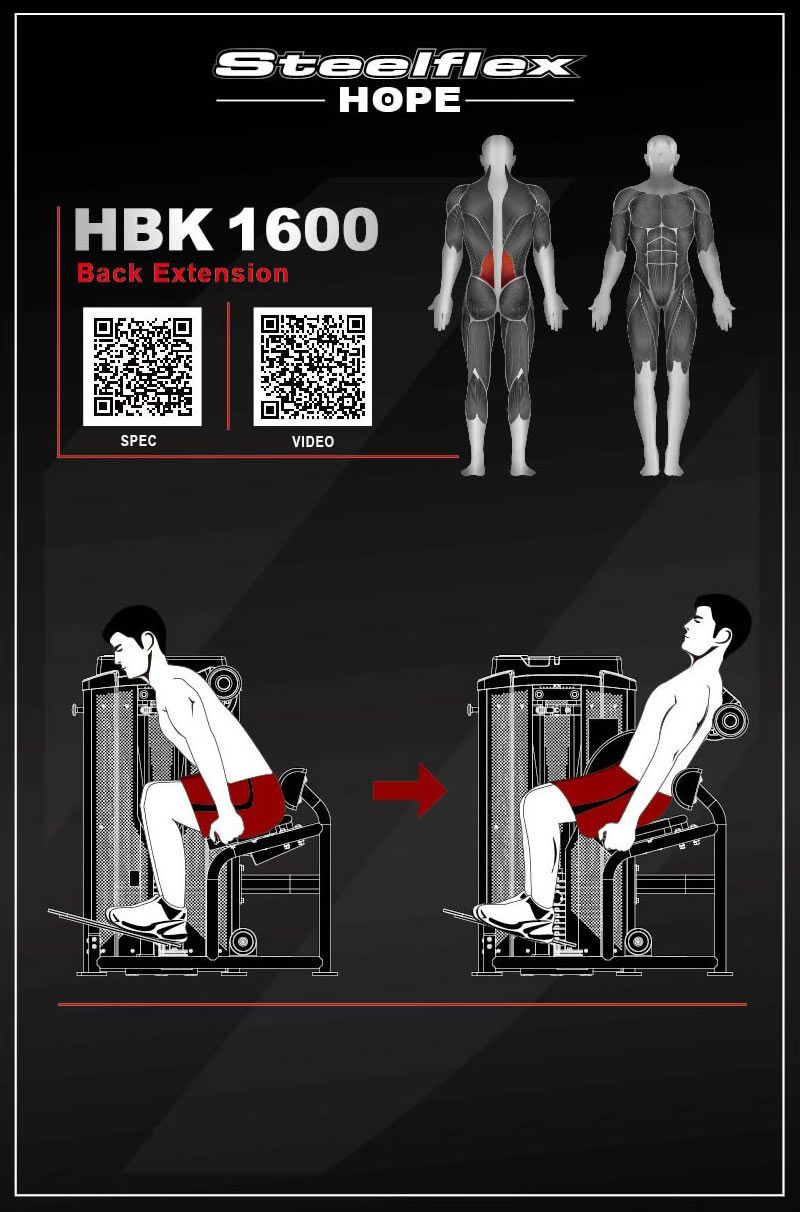 Steelflex HBK1600 坐姿背部扩展训练器