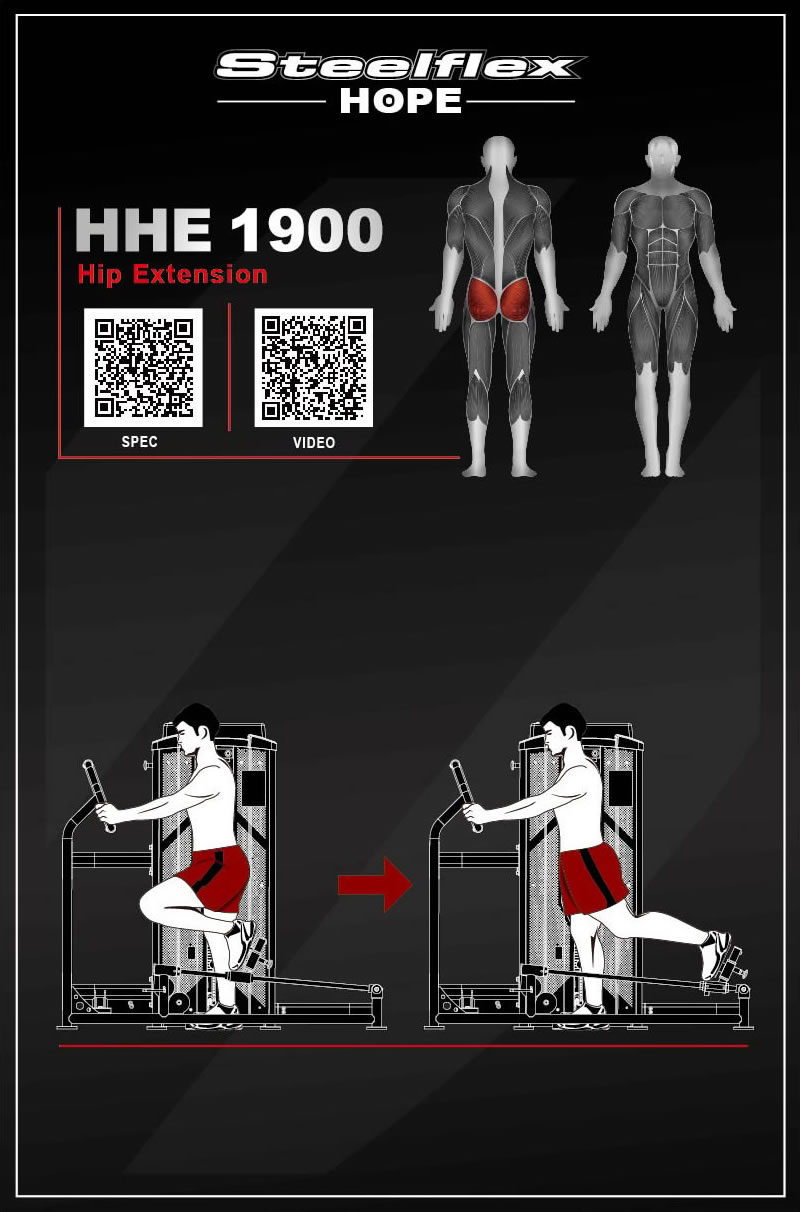 Steelflex HHE1900 后蹬腿/臀部扩展练习器
