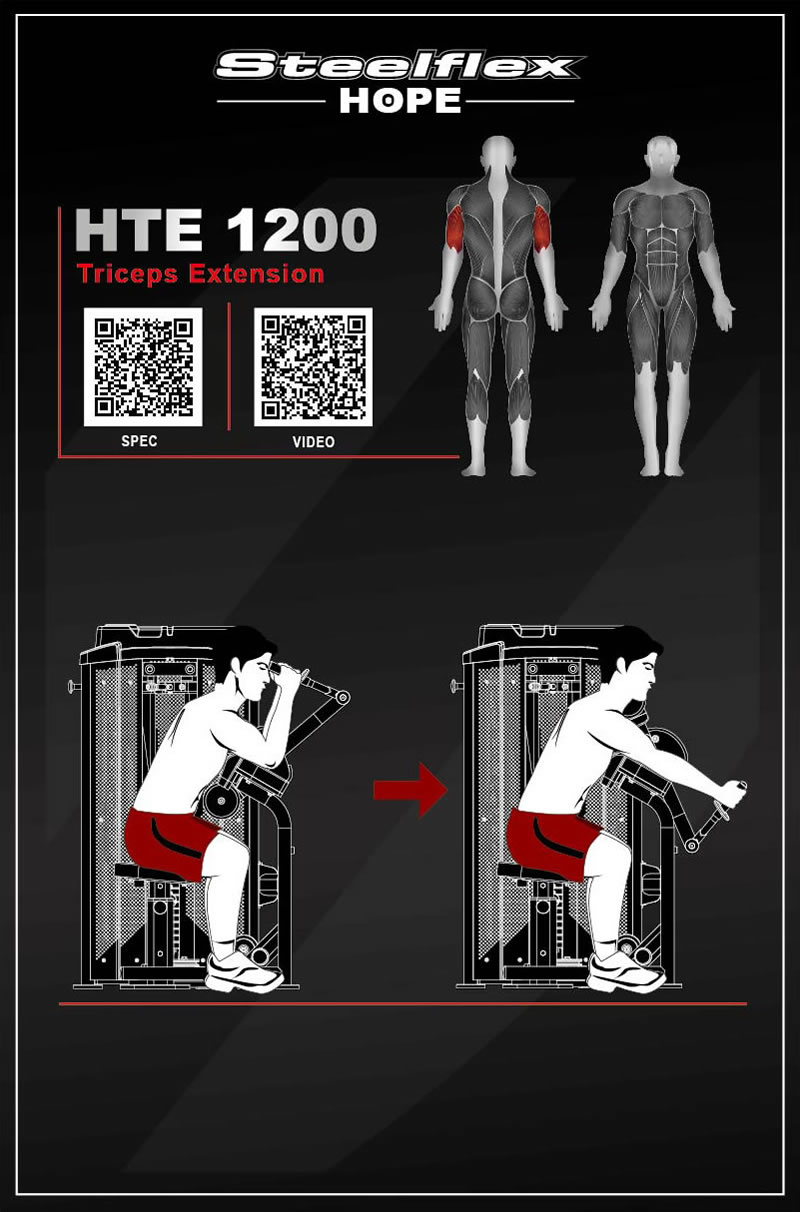 Steelflex HTE1200 肱三头肌伸展训练器