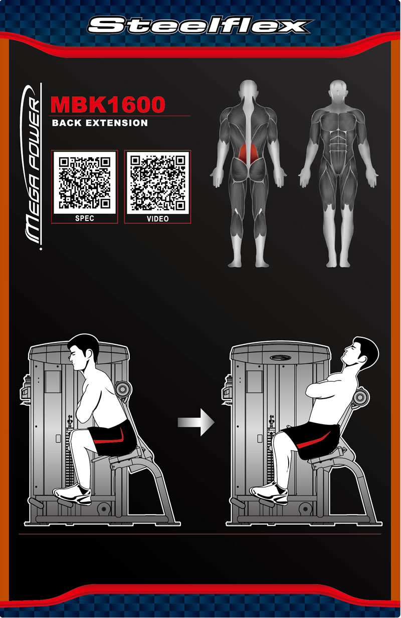Steelflex MBK1600 坐姿背部伸展训练机