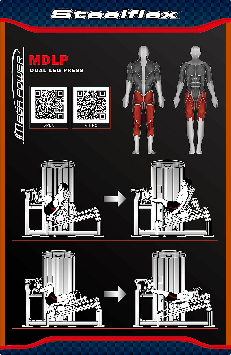 Steelflex MDLP 坐式提踵/蹲腿训练器