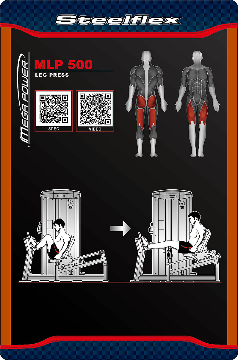 Steelflex MLP500 坐姿提踵/蹲腿训练器